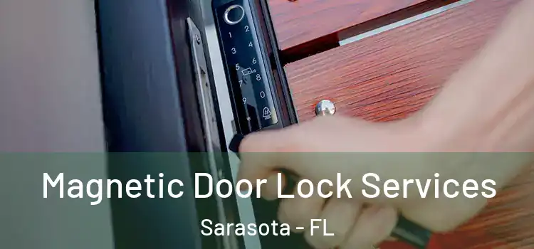 Magnetic Door Lock Services Sarasota - FL